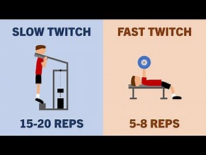 Should You Train According to Muscle Fibre Type?