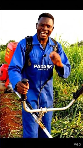 Powerful 4-Stroke Brush Cutter for Easy Farm & Land Clearing 🌿