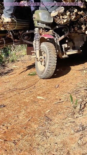 Bamboo Overload: The Physics of a Three-Wheeled Haul
