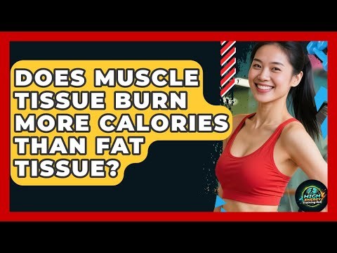 Does Muscle Tissue Burn More Calories Than Fat Tissue? - High Energy Training Hub