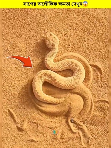 World's Smartest Snake 🐍 #animals #snake #birds #desertsnake