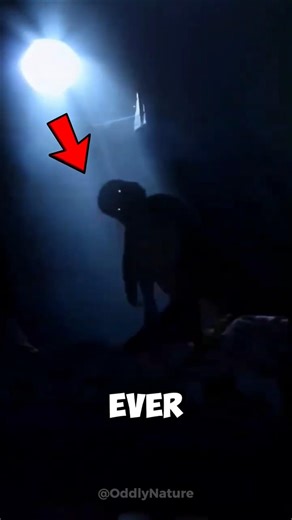 Real Dinosaur Sounds That Will Give You Chills 😱