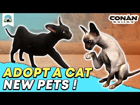 New Pets: How to get a Cat Pet & Stray Cat Locations - Chapter 2 Preview | Conan Exiles