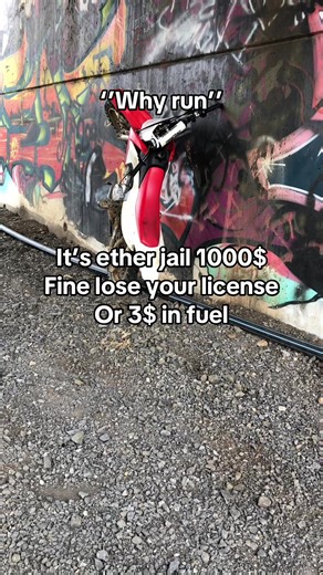 The Honda CRF110F: Ideal Trail Bike for Young Riders