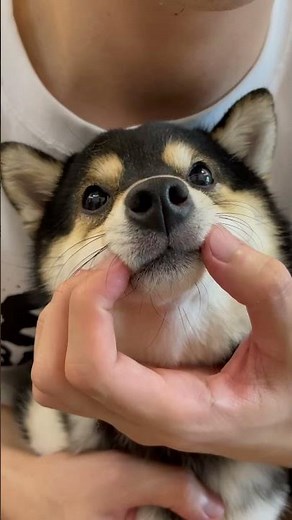 【HD ASMR】Manyu's Immersive Care SPA