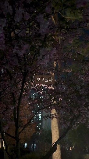하루종일 너만 보고 싶어 — 사랑전시 영상 공유 방법
