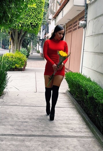 La Navidad ya se siente con Sandy