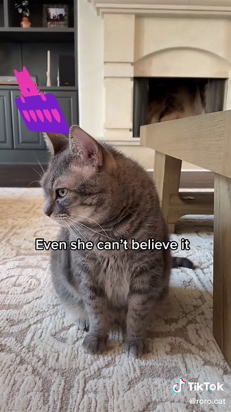 My Cat's Love Revealed | Heartwarming Video