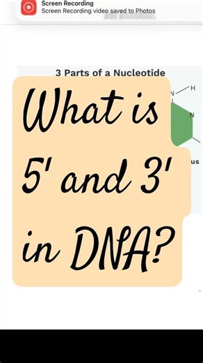 Ever wonder what 5' and 3' actually mean in DNA? 🧬 It’s all about directionality| NCERT #biology