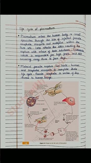 Class 12 Biology | Human health and diseases handwritten notes | CBSE | NCERT | JEE | NEET | BSEB