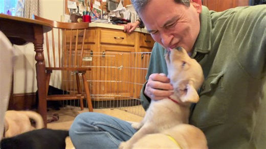 David Pogue on Reels