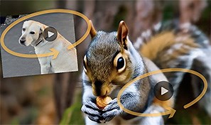 Tip: Borrow camera motion from real footage in Firefly