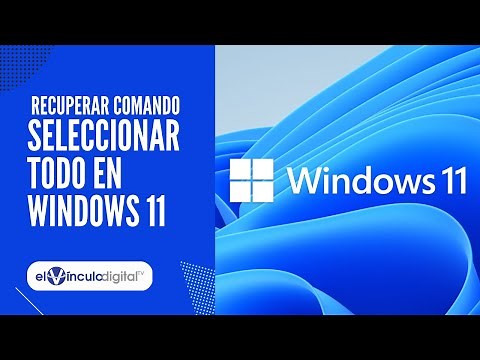 Cómo recuperar la función de CTRL+ E en Windows 11 - Solución