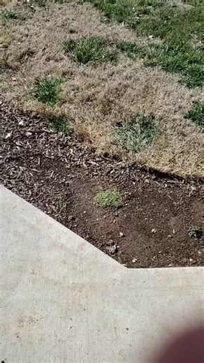 #lmao #getitshrek #shakeit #likeasaltshaker #twerk #inthesky #fyp