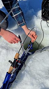 6.2K views · 21 reactions | Comment installer un JawJacker pour la truite arc-en-ciel! N'hésitez surtout pas à aller peu profond. Bon, il est un peu tard pour cette vidéo, mais la pêche blanche est juste dans 8 mois! haha Je vous conseille de profiter des rabais de fin de saison chez SAIL . Les JawJacker sont en rabais! #pleinair #outdoor #trout #peche #prisedujour #doré #brochet #truite | Prise du jour | Facebook