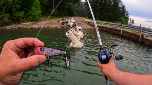 TOPWATER Fishing for BIG BASS in a TOUGH Lake!! | AYO Fishing