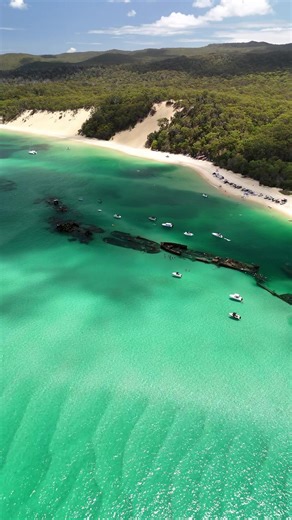 📍Moreton Island Australia Such a beautful island just a quick ferry ride from Brisbane! #shipwreck #australia #beach #travel #traveltok