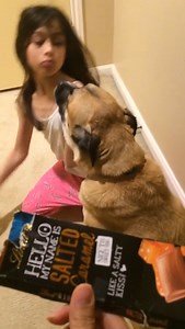 This dog either has a guilty look or it is a cry for help. Funny Videos Want to be featured? Message us videos you filmed to be featured on the page! | Funny Videos