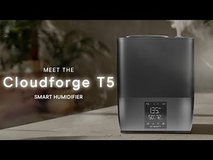 All About the AC Infinity CLOUDFORGE T5 Smart Humidifier | CLOUDFORGE Series
