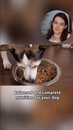 Unboxing Dr. Marty Nature's Blend Dog Food! 🐾