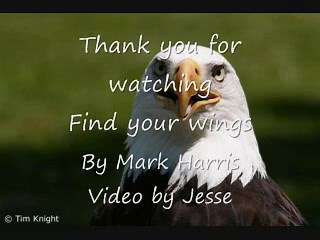 Mark Harris Find your Wings (lyrics)