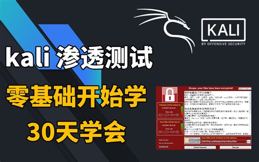 2024年最新Kali渗透教程/网络安全/kali破解/DDoS攻击/零基础kali/漏洞挖掘/代码审计/信息安全 /黑客技术/web安全/黑客教程/渗透测试
