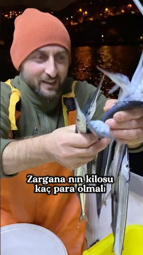 How much should a kilogram of garfish cost? #explore #fish