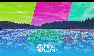 Mind Luster - Learn GIMP Tutorial Color Channels Explained