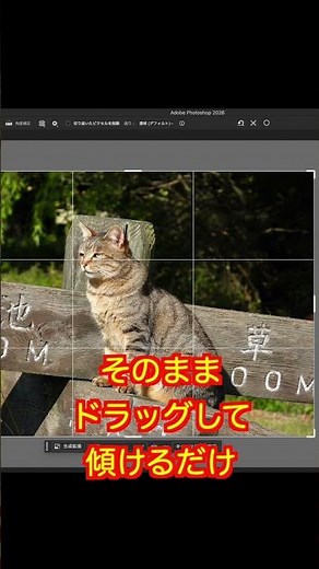 [Photoshop for Beginners] Same photo, totally different vibe! Crop Tool hack