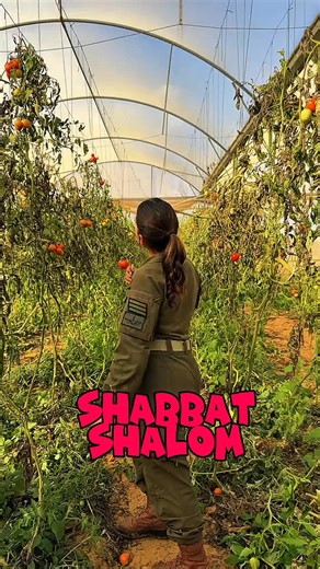 Natalia Fadeev on Instagram: "Shalom from israel🇮🇱💙 . . . . #ScarlettJohansson #elizabetholseni #JenniferLopez #JenniferAniston #JenniferLawrence #priyankachopra #KristenStewart #HaileeSteinfeld #emiliaclarke #galgadot #wonderwoman #DC #mcu #MeganFox #kyliejenner #kimkardashians #wellnesstips #cleaninghacks #motivational #southafrica #musictour #beautytips #christianinspiration #lifestyle #criticism #faithbase"