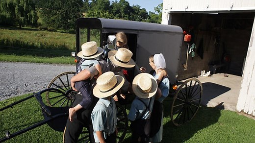Amish: a Secret Life
