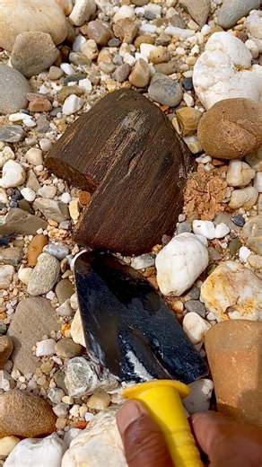 12K views · 108 reactions | Hunting for gemstones and unique stones at gold mining sites. #huntinggemstone #hunting #gemstone #uniquestones #goldmining | The GemsHunter | Facebook