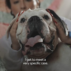 Even without his vision, Brunello opened our eyes to new ways of learning together. 🥺 The new season of Better Human Better Dog starts tomorrow at 8/7c on National Geographic TV. Streaming soon on Disney and Hulu. | Cesar Millan