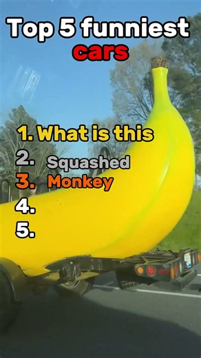Top 5 Funniest Car Moments #funny #compilation #car