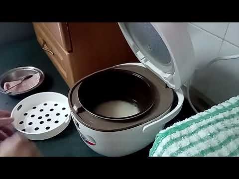 Cooking rice with the default rice button (45 mins) and steam fish in Tefal mini rice cooker