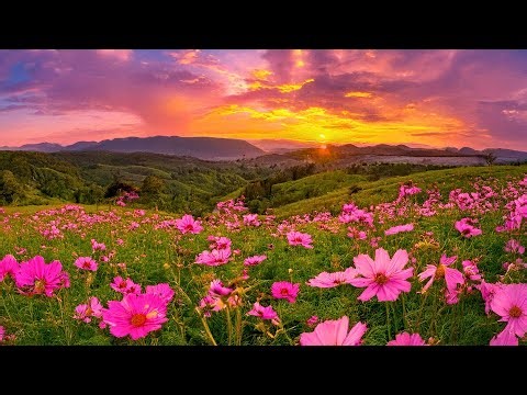 Voix de la Sérénité : 3 Magnifiques Pièces Chorales et Citations Inspirantes 🌙