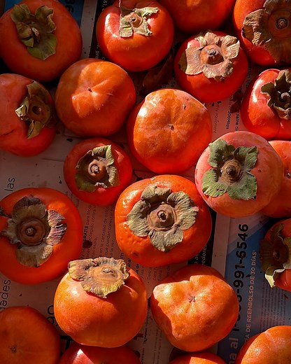 396K views · 939 reactions | BuzzFeed Producer @janna.em learns there's more than one way to eat a persimmon! Thank you instagram.com/erekav and instagram.com/itsme.joyuan for the recipes! | Tasty | Facebook