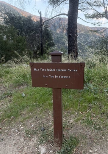 Discovering Sturtevant Falls: A Hiking Journey