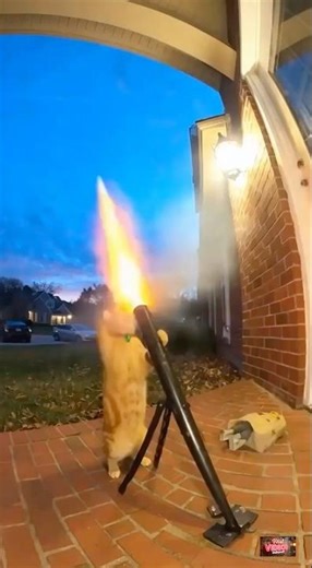 Whiskers Military - Rocket Launcher, machine gun and helicopter firing range