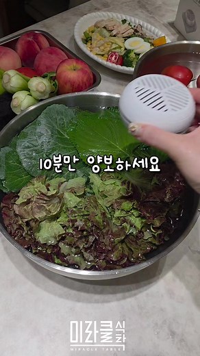 안전한 과일세척기로 건강한 식사 준비하기