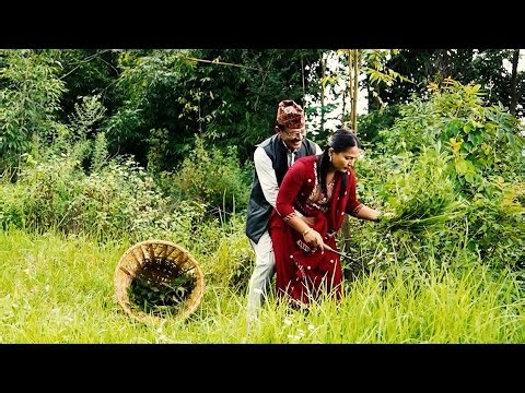 New Nepali Comedy Club || न्यु कमेडी क्लब || comedy show by simali media