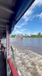 trip through the Amazon | Vambora Amazônia - Visit the Amazon Rainforest