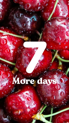 Cherry Time on Instagram: "🍒⏳ One Week Left for Cherry Time™ Online! ⏳🍒 The clock is ticking! You have just one week to order the season's sweetest, juiciest cherries from our online store, delivered straight to your door. Don't miss out on your last chance to enjoy the magic! ✨ Can't get delivery? No worries! You can still find fresh Cherry Time™ cherries at Checkers and Pick n Pay stores nationwide. #CherryTime #TakeAMoment #LastChance #OnlineStoreClosing #CherrySeason"