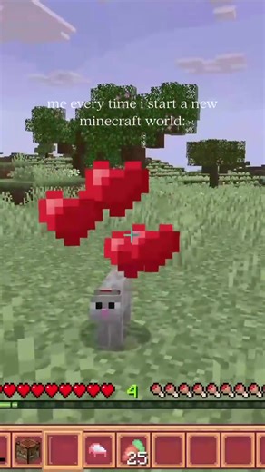 Building a Cat Sanctuary in Minecraft