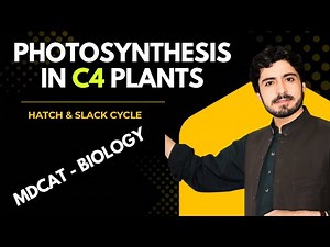 MDCAT BIOLOGY# C4 PLANTS || PHOTOSYNTHESIS #photosynthesis #darkreaction
