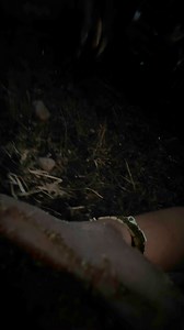 691K views · 32K reactions | Vida Ranchera Con Ana on Reels | Facebook