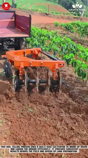 Soil Tilling Using a Multi-Disc Cultivator in the Field #gardeningtips #smartfarming