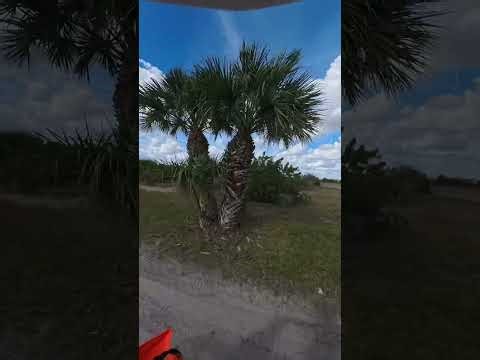 Dad on the turn track and Max on mx