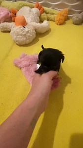 58K views · 7.2K reactions | BABY WEDNESDAY IS 4 WEEKS OLD TODAY. ...