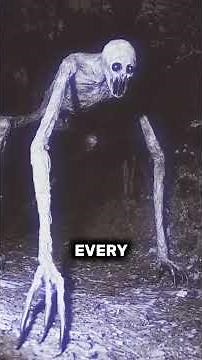 Cryptozoology: Pale Crawlers The Creatures People Claim to See at Night